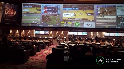 Sports Betting On Winners And Losers